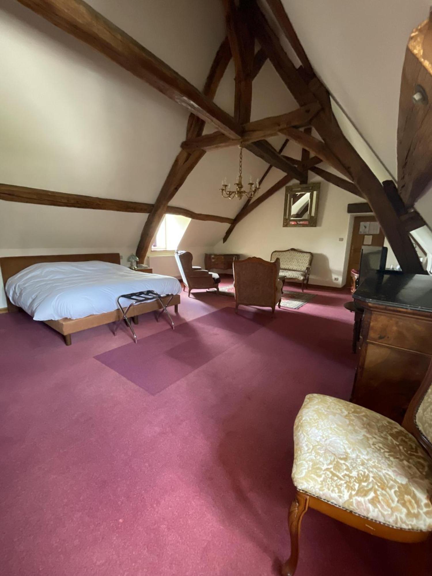 Chateau De La Berchere Nuits-Saint-Georges Habitación foto